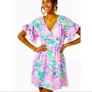 Lilly Pulitzer Blaire Stretch Dress
